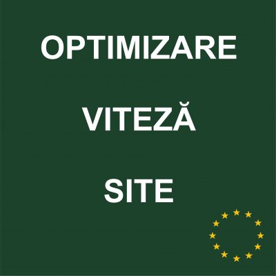 Optimizare viteză site